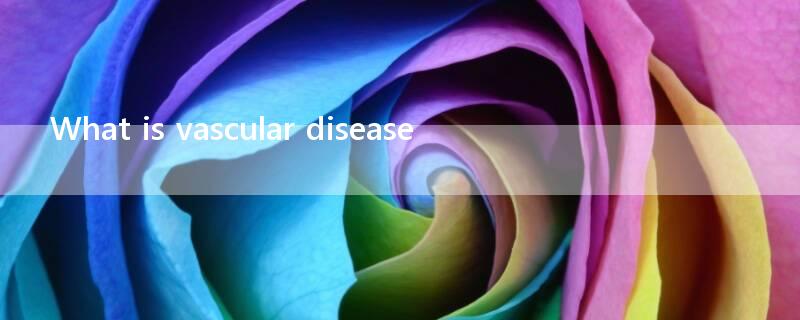 What is vascular disease? Types of vascular disease?